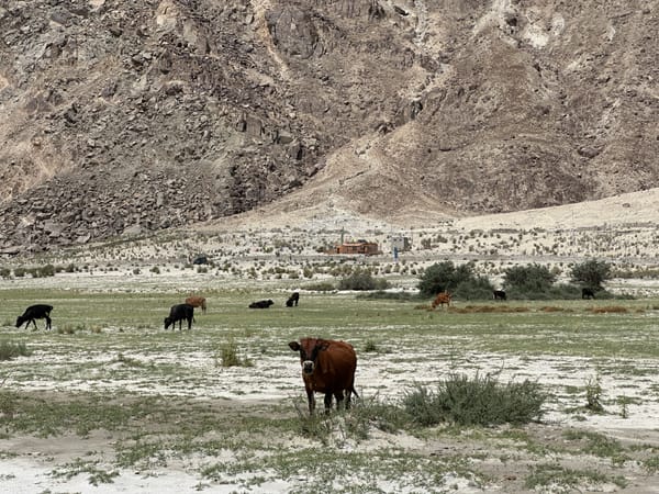 兩次深刻復盤：我以為在解題，其實連題目都看錯